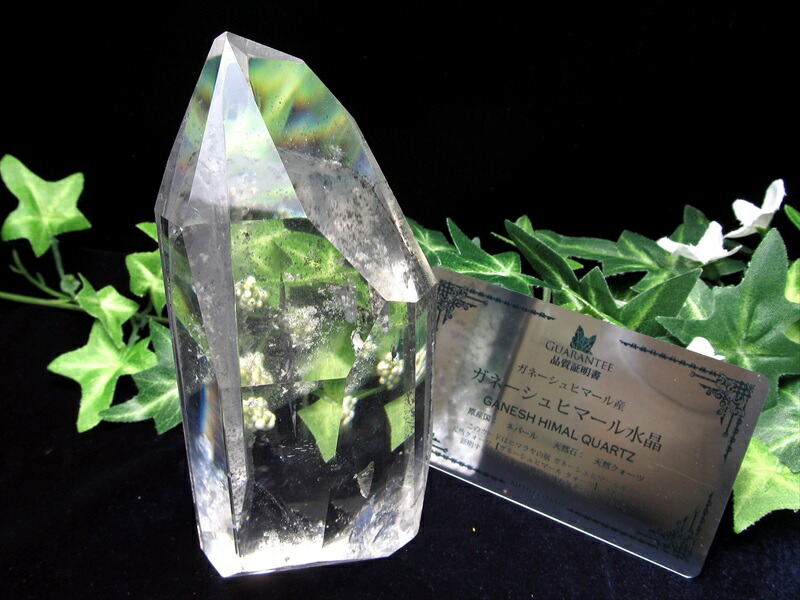 ギャランティーカード付き ガネーシュヒマール産 水晶 ポリッシュ ポイント 高さ約120mm 重量約422g 神に最も近い場所で採掘される特別な水晶