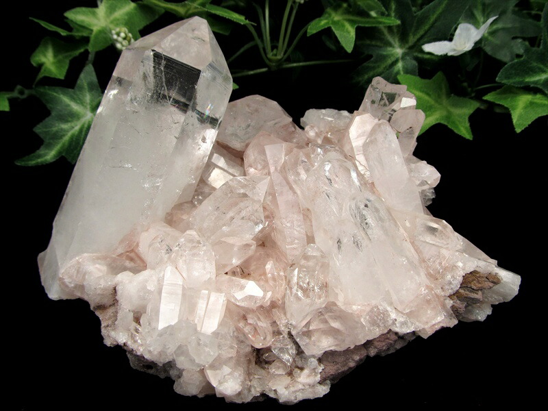 ギャランティカード付 幻の逸品 希少 ほんのりピンク 抜群の透明度 ピンク レムリアン 水晶 クラスター 最大幅 約128mm 重さ 445g