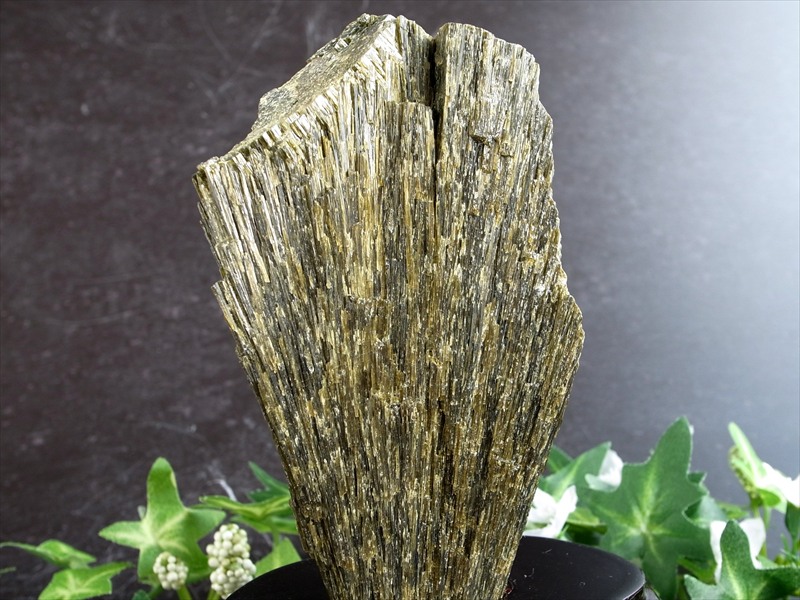 深緑が息づく 森のエネルギー結晶 グリーン ゾイサイト 原石 木製専用台座付 高さ 140mm 重さ597g グリーンゾイサイト原石が育む 心と空間の豊かさ