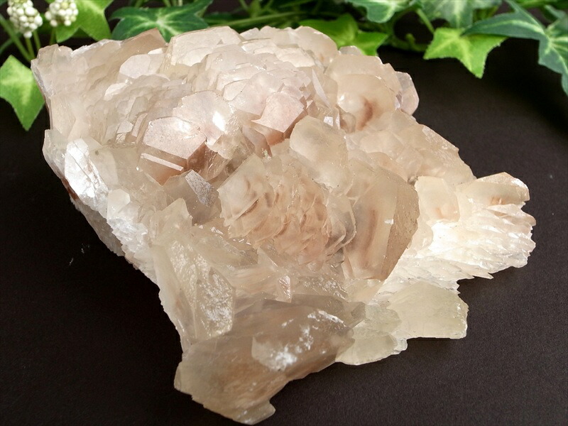 初入荷 可愛らしい茸のような結晶 カルサイト 方解石 クラスター 最大幅113mm 重さ410g 艶感抜群 極上光沢 赤みを帯びた透明結晶 繁栄・成功・希望を表す石