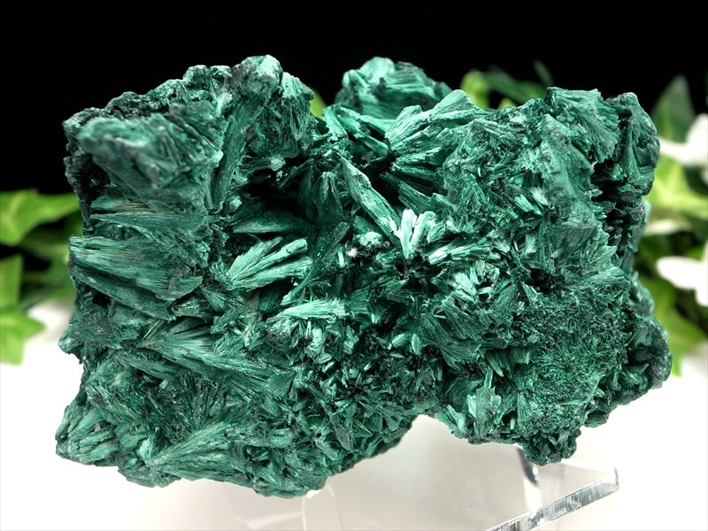 5A ベルベット マラカイト 原石 イス型台座付 最大幅96mm 重さ304g ベルベットの様な煌めき 1点物 磨き無しの天然原石 孔雀石 コンゴ産 パワーストーン 天然石