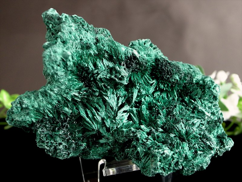 5A ベルベット マラカイト 原石 イス型台座付 最大幅110mm 重さ426g ベルベットの様な煌めき 1点物 磨き無しの天然原石 孔雀石 コンゴ産 パワーストーン