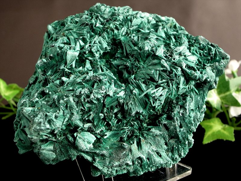 5A ベルベット マラカイト 原石 イス型台座付 最大幅119mm 重さ748g ベルベットの様な煌めき 1点物 磨き無しの天然原石 孔雀石 コンゴ産 パワーストーン