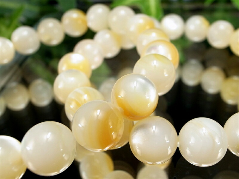 超お買い得価格 ゴールドリップシェル 白蝶貝 ブレスレット 約8.0mm-8.5mm×23珠前後 白多め×淡い黄金のやさしい輝き パール光沢たっぷり 毎日使える万能色