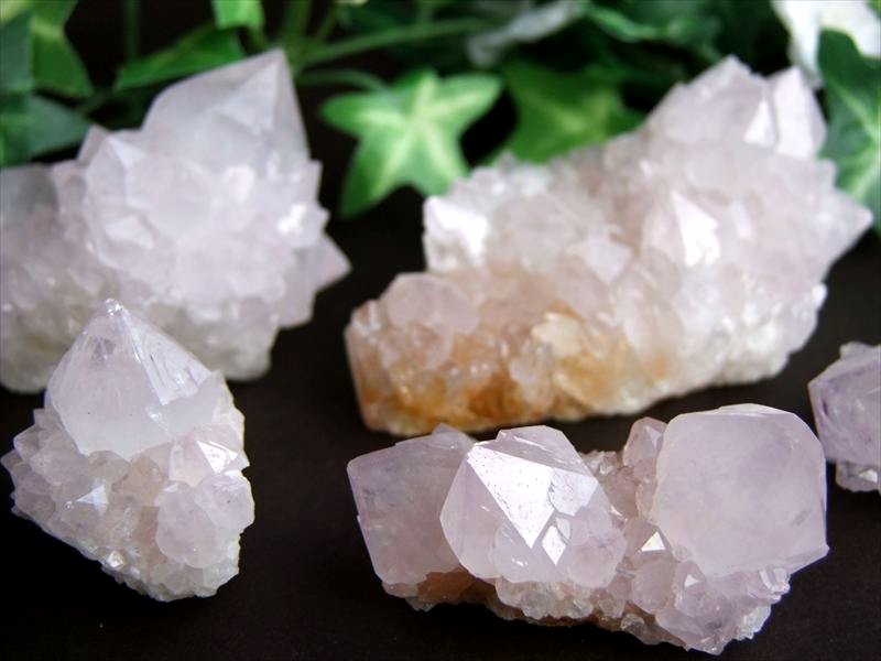 ラベンダーカラー カクタス アメジスト クラスター原石 1個売り 重さ50g-70g 美結晶 愛の守護石 浄化やインテリアに 紫水晶 サボテンアメジスト 2月 誕生石