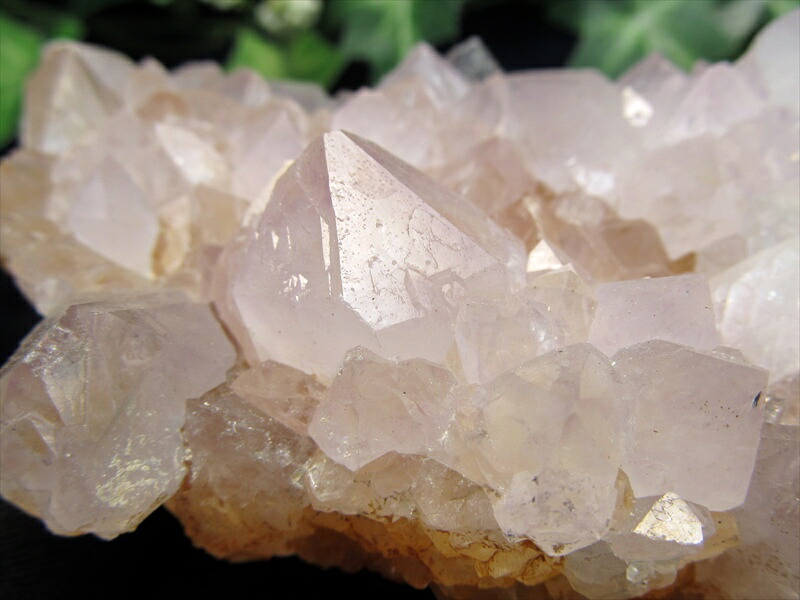 ヒーラーに大人気 4A カクタス アメジスト クラスター原石 最大幅 86mm 重さ 212.5g 精霊の宿る水晶 紫水晶 サボテンアメジスト 2月 誕生石 1点もの