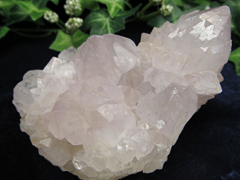 ヒーラーに大人気 4A カクタス アメジスト クラスター原石 最大幅 93mm 重さ 256g 精霊の宿る水晶 紫水晶 サボテンアメジスト 2月 誕生石 1点もの