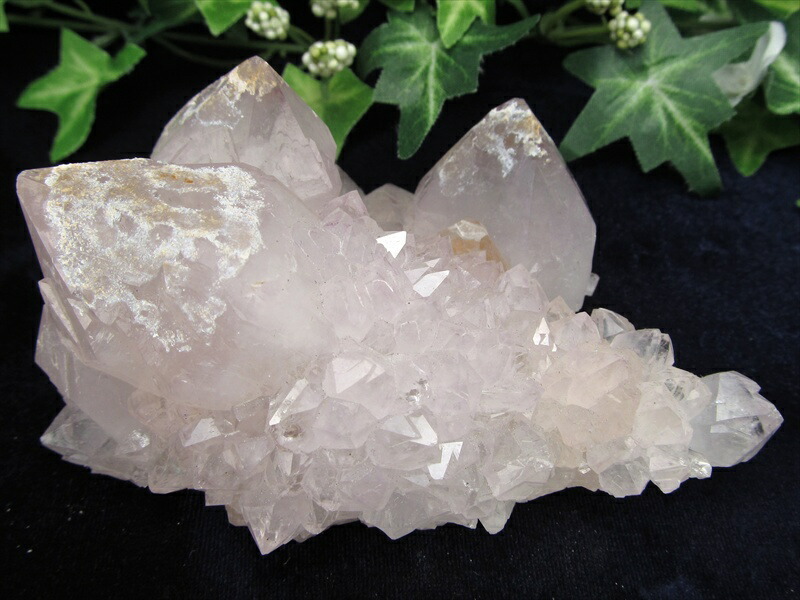 ヒーラーに大人気 4A カクタス アメジスト クラスター原石 最大幅 120mm 重さ 315g 精霊の宿る水晶 紫水晶 サボテンアメジスト 2月 誕生石 1点もの