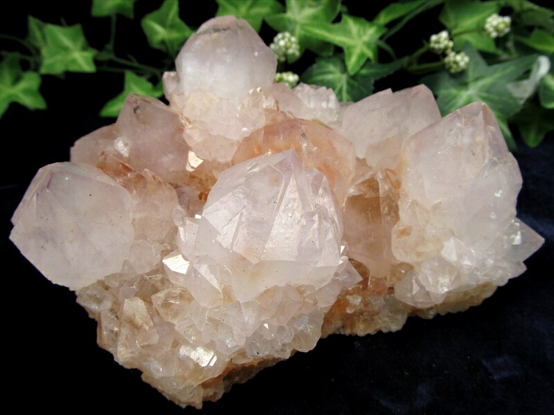 ヒーラーに大人気 4A カクタス アメジスト クラスター原石 最大幅 118mm 重さ 567g 精霊の宿る水晶 紫水晶 サボテンアメジスト 2月 誕生石 1点もの