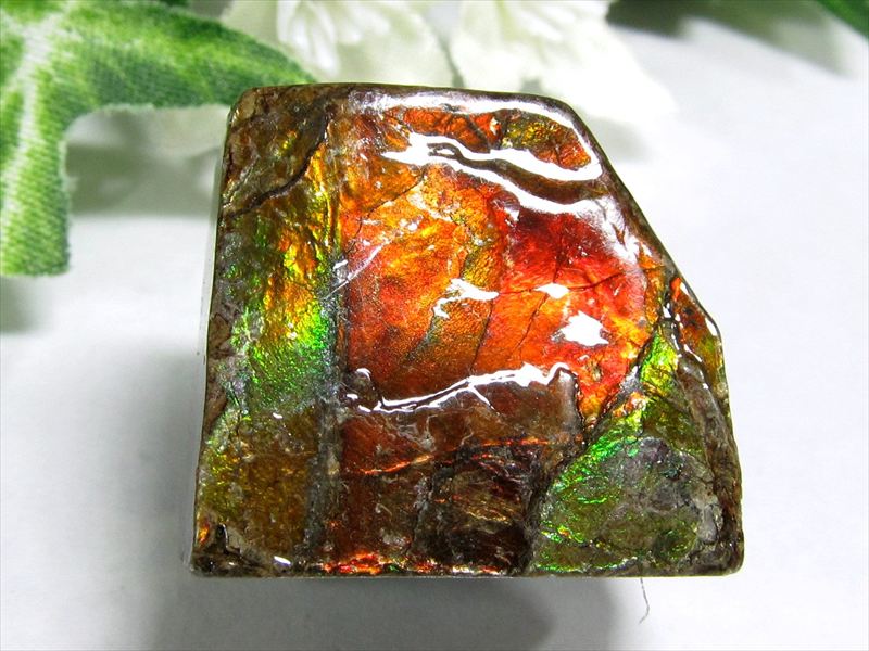 5A アンモライト ドラゴンスキン 竜の鱗 原石 最大幅約23mm 重さ約10.2g 1点物 生物起源の宝石 幸運を呼び込む石 極上一点物 カナダ産 パワーストーン 天然石