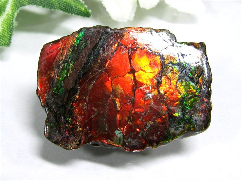 5A アンモライト ドラゴンスキン 竜の鱗 原石 最大幅29mm 重さ2.2g 1点物 生物起源の宝石 幸運を呼び込む石 極上一点物 カナダ産 パワーストーン 天然石