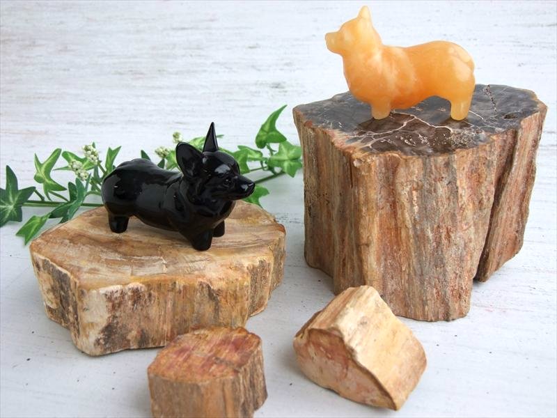 一面磨き 珪化木 ペトリファイドウッド 原石 重さ300g-400g 1個売り 神秘なる大自然の力 ウッドストーン 博愛・真心・希望 木の化石 マダガスカル産