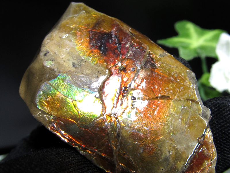 4A アンモライト 原石 最大幅44mm 重さ21.5g 1点物 生物起源の宝石 幸運を呼び込む石 極上一点物 カナダ産 パワーストーン 天然石