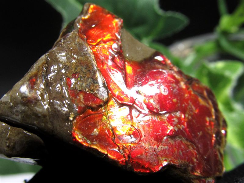 4A アンモライト 原石 最大幅32.5mm 重さ20.1g 1点物 生物起源の宝石 幸運を呼び込む石 極上一点物 カナダ産 パワーストーン 天然石