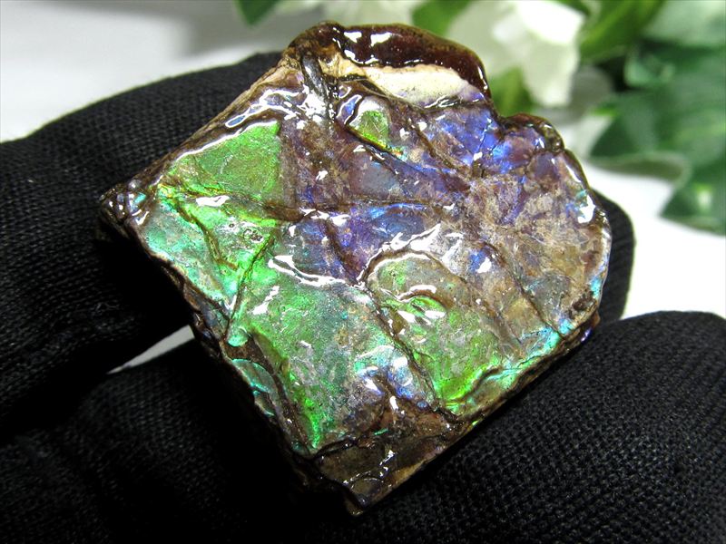 4A アンモライト 原石 最大幅27mm 重さ9.7g 1点物 生物起源の宝石 幸運を呼び込む石 極上一点物 カナダ産 パワーストーン 天然石