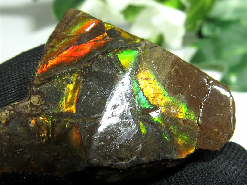 4A アンモライト 原石 最大幅35mm 重さ9.6g 1点物 生物起源の宝石 幸運を呼び込む石 極上一点物 カナダ産 パワーストーン 天然石