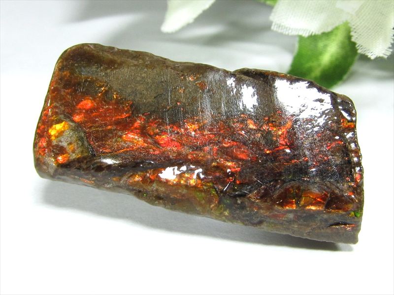 4A アンモライト 原石 最大幅35.5mm 重さ7.9g 1点物 生物起源の宝石 幸運を呼び込む石 極上一点物 カナダ産 パワーストーン 天然石