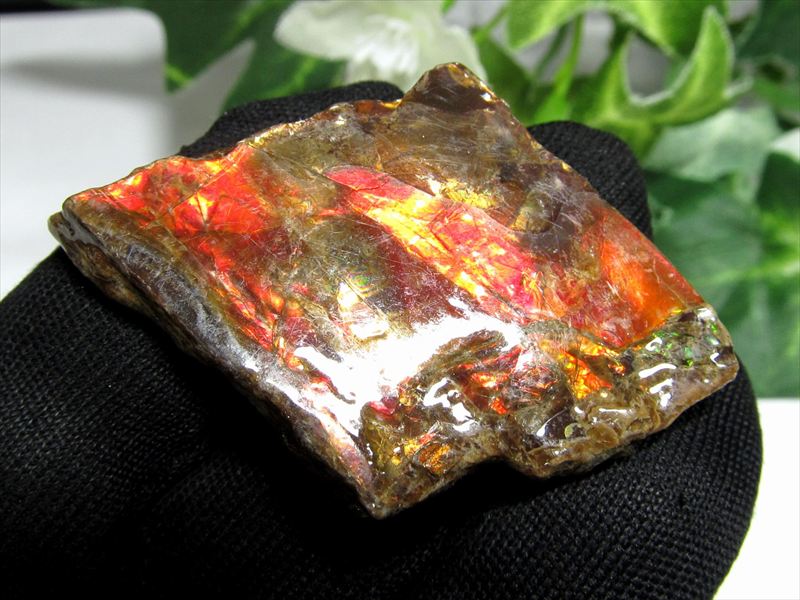 4A アンモライト 原石 最大幅35mm 重さ7.5g 1点物 生物起源の宝石 幸運を呼び込む石 極上一点物 カナダ産 パワーストーン 天然石