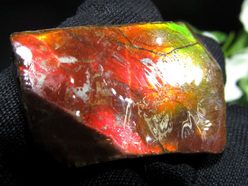 4A アンモライト 原石 最大幅32mm 重さ4.3g 1点物 生物起源の宝石 幸運を呼び込む石 極上一点物 カナダ産 パワーストーン 天然石