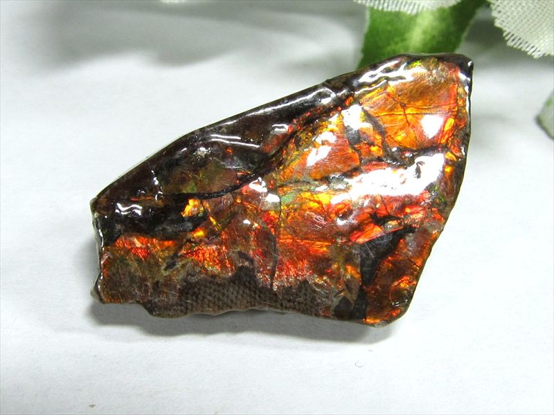 4A アンモライト 原石 最大幅30.5mm 重さ3.7g 1点物 生物起源の宝石 幸運を呼び込む石 極上一点物 カナダ産 パワーストーン 天然石