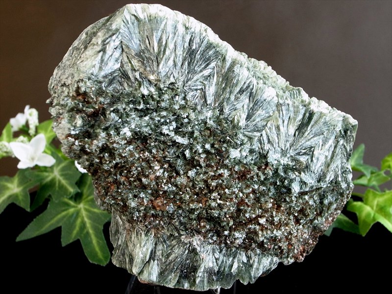 超レア 流通量極少結晶 天使の羽根のような美しさ セラフィナイト クリノクロア・天使の羽 原石 台座付 最大幅 119mm 重さ 730g キラキラ輝く集合体原石