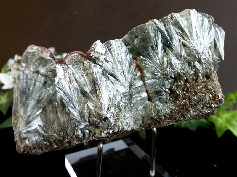 超レア 流通量極少結晶 天使の羽根のような美しさ セラフィナイト クリノクロア・天使の羽 原石 台座付 最大幅 114mm 重さ 479g キラキラ輝く集合体原石