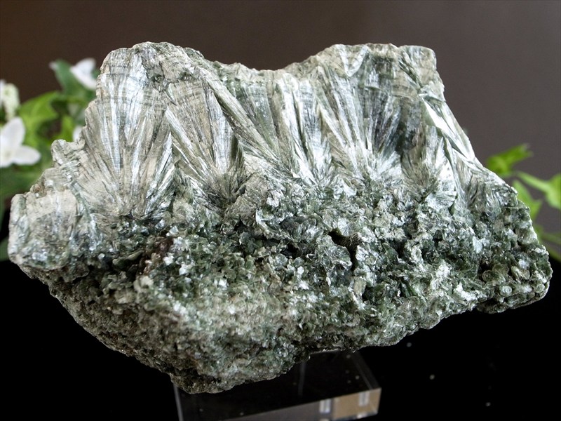 超レア 流通量極少結晶 天使の羽根のような美しさ セラフィナイト クリノクロア・天使の羽 原石 台座付 最大幅 95mm 重さ 484g キラキラ輝く集合体原石