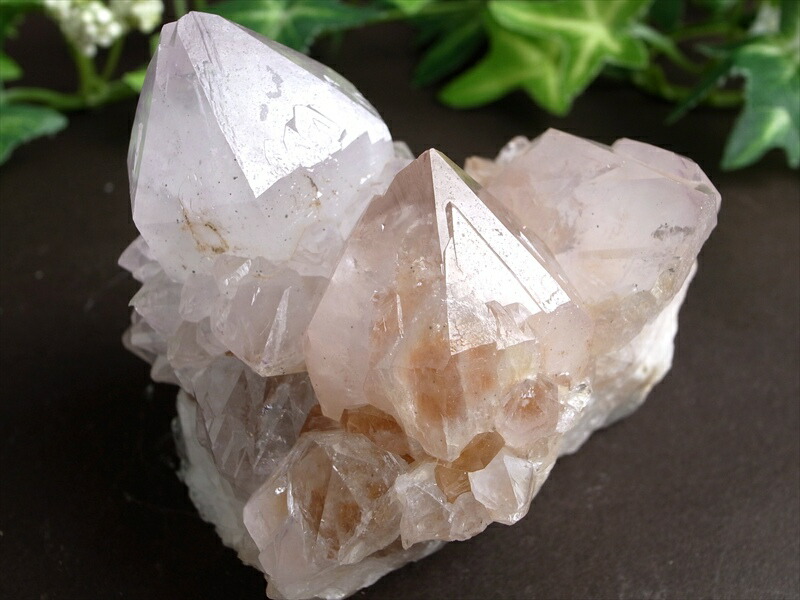 ヒーラーに大人気 4A カクタス アメジスト クラスター原石 最大幅 70mm 重さ 213g 精霊の宿る水晶 紫水晶 サボテンアメジスト 2月 誕生石 1点もの