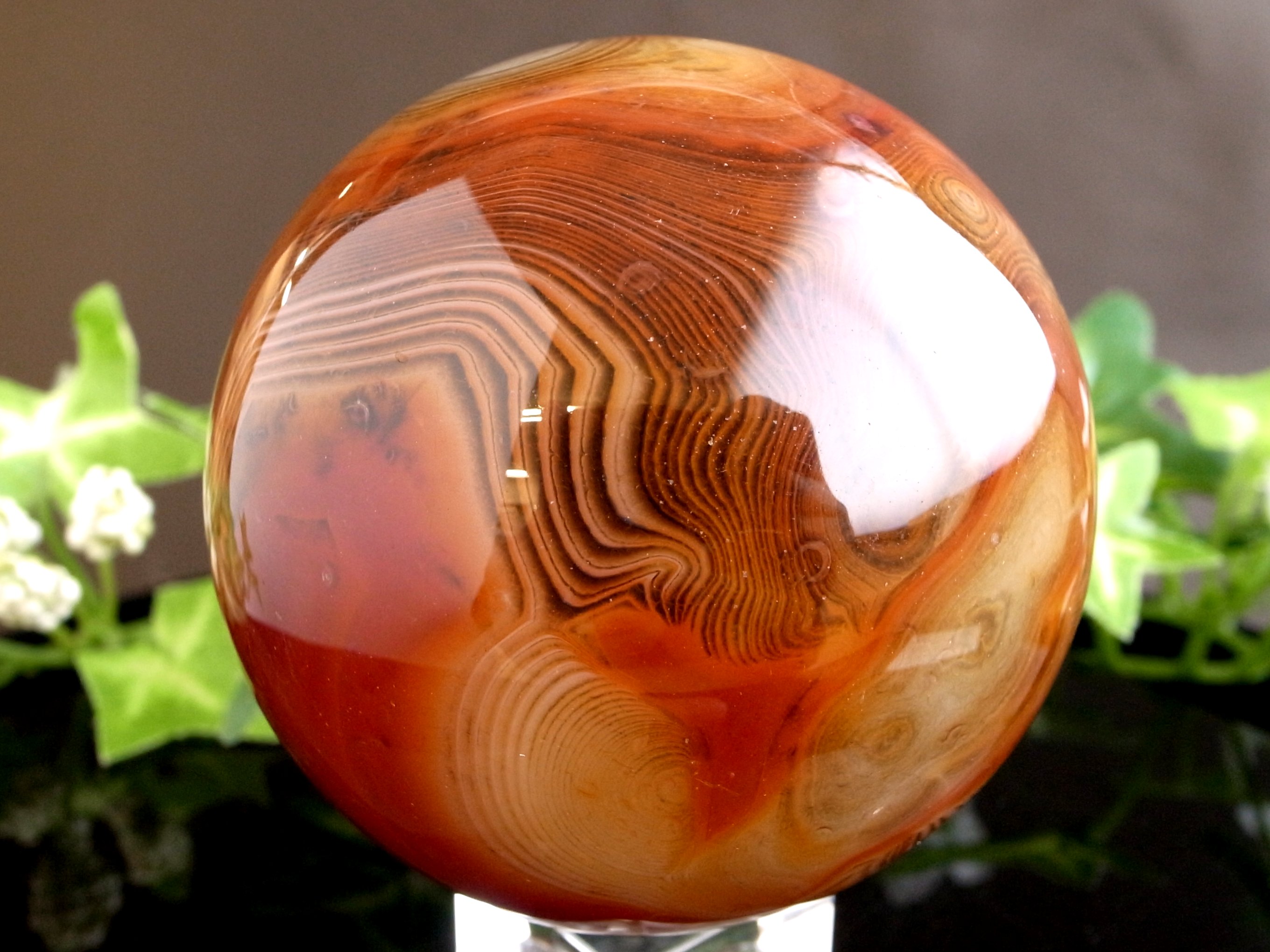 5A 模様くっきり サードオニキス 丸玉 台座付 直径約64mm 重さ約380g 赤縞瑪瑙 自然がつくりあげた神秘的なアート つやつや褐色に白い縞模様