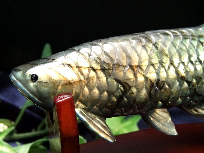 まさに黄龍 バンジャール アロワナ ラブラドライト 置物 台座付き 幅約108mm 約151g 龍魚と呼ばれる古代魚 権力や繁栄、事業の発展の意味を持つモチーフ