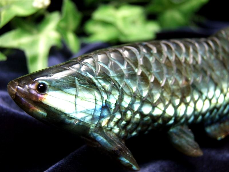 美しいブルー系シラー アロワナ ラブラドライト 置物 台座付き 幅約115mm 約156g 龍魚と呼ばれる古代魚 権力や繁栄、事業の発展の意味を持つモチーフ