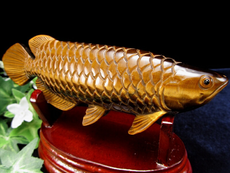 美しいゴールドのシラー アロワナ タイガーアイ 置物 台座付き 幅約144mm 約255g 虎目石 龍魚と呼ばれる古代魚 権力や繁栄、事業の発展の意味を持つモチーフ