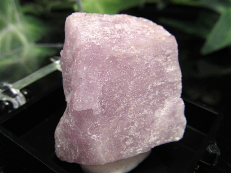 コレクションケース付 クンツァイト 原石 重さ13.6g コレクションや標本に 純粋さと無償の愛の象徴 リチア輝石 パキスタン産 パワーストーン 天然石