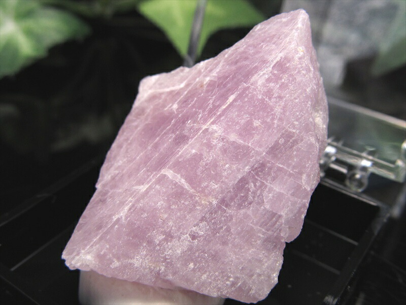 コレクションケース付 クンツァイト 原石 重さ13.4g コレクションや標本に 純粋さと無償の愛の象徴 リチア輝石 パキスタン産 パワーストーン 天然石