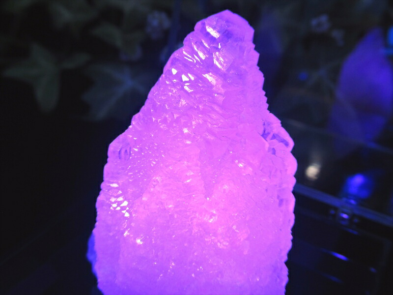 大人気の妖艶なピンク色発光 蛍光ピンクカルサイト 原石 コレクションケース付 高さ 60mm 重さ 61g 持ち主の心を包み込むような強力な癒し ストレスの緩和