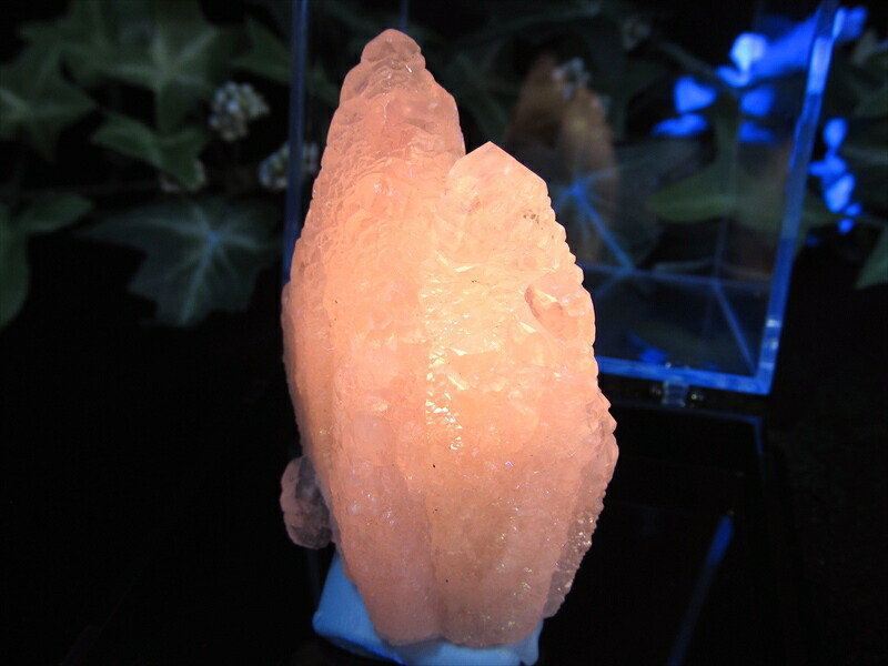 大人気の妖艶なピンク色発光 蛍光ピンクカルサイト 原石 コレクションケース付 高さ 59mm 重さ 54g 持ち主の心を包み込むような強力な癒し ストレスの緩和