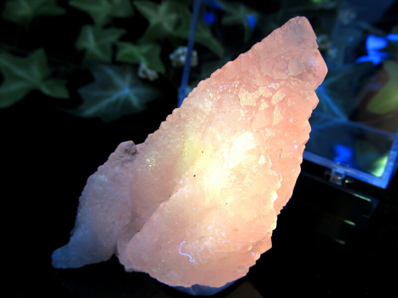 大人気の妖艶なピンク色発光 蛍光ピンクカルサイト 原石 コレクションケース付 高さ 65mm 重さ 54g 持ち主の心を包み込むような強力な癒し ストレスの緩和