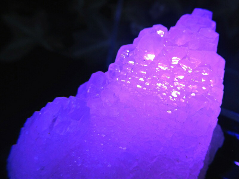 大人気の妖艶なピンク色発光 蛍光ピンクカルサイト 原石 コレクションケース付 高さ 62mm 重さ 51g 持ち主の心を包み込むような強力な癒し ストレスの緩和