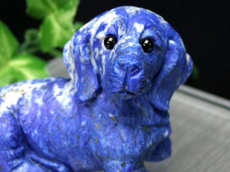 見つめる愛犬 天然石 ミニチュアダックス ダップル ラピスラズリ彫刻 置物 最大幅約60mm×高さ約43mm 重さ79g お部屋やオフィスにも 癒しのお守り