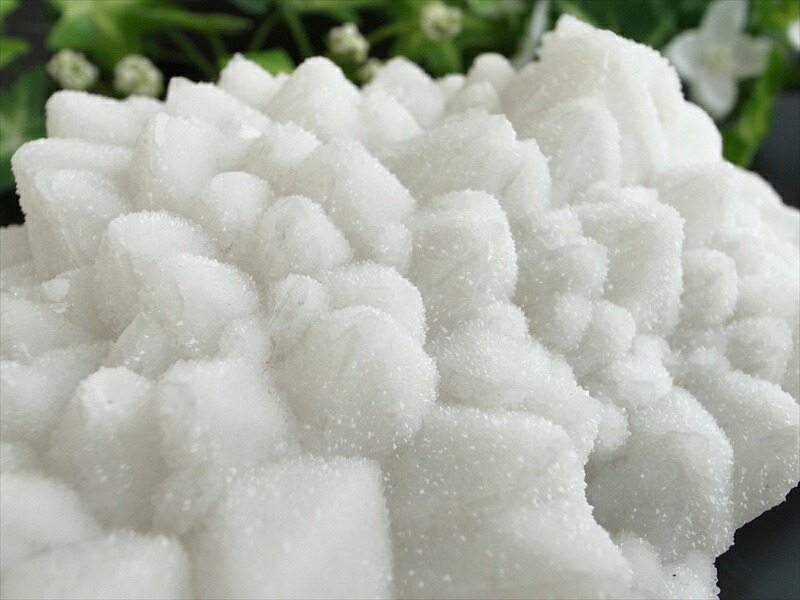 新雪の様なキラキラ スノーホワイト ドゥルージーキャップ クォーツ クラスター 最大幅129mm 重さ817g 氷の様なキラキラドゥルージー結晶 無数のポイント群生