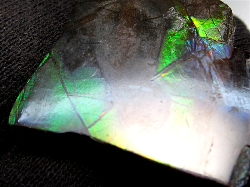 3A アンモライト 原石 最大幅約28mm 重さ約6.5g 1点物 生物起源の宝石 幸運を呼び込む石 フロートコレクションケース付き 極上一点物 カナダ産