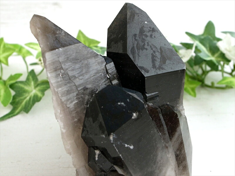 待望の再入荷 アーカンソー 州 産 モリオン 結晶 クラスター 最大幅約90mm 重さ300g 最強の魔除け 邪気払いの石 1点物 艶々極上 黒水晶 アーカンソー 州 産