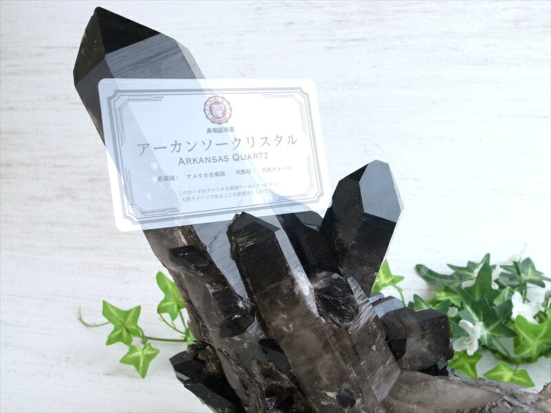 特大結晶 アーカンソー 州 産 モリオン 結晶 クラスター 最大幅約211mm 重さ2622g 最強の魔除け 邪気払いの石 1点物 艶々極上 黒水晶 アーカンソー 州 産