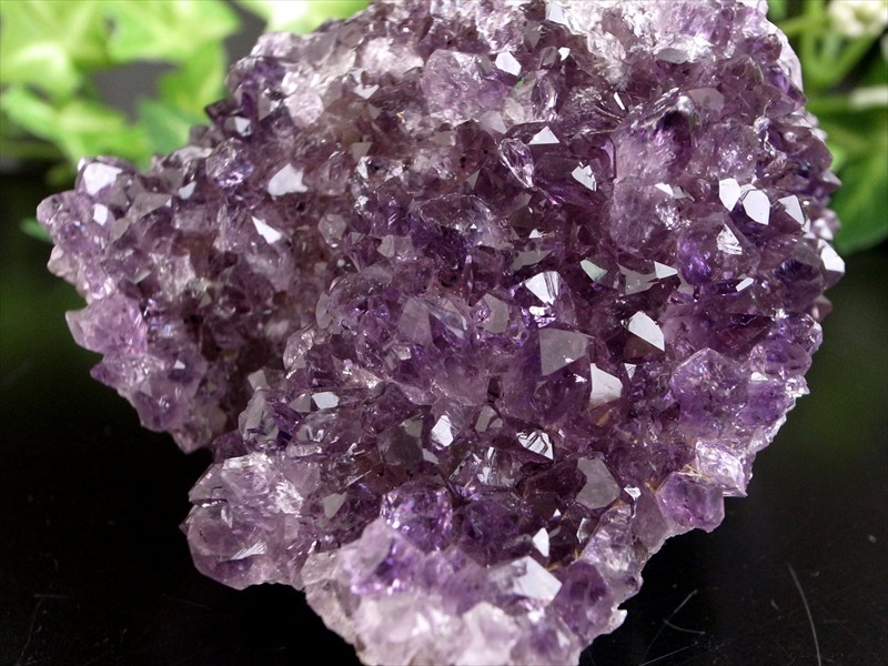 これぞ 花咲き 4A フラワー アメジスト クラスター 最大幅約75mm 重さ195g 美結晶 愛の守護石 紫水晶 天然石 1点物 ブラジル 産 パワーストーン 天然石