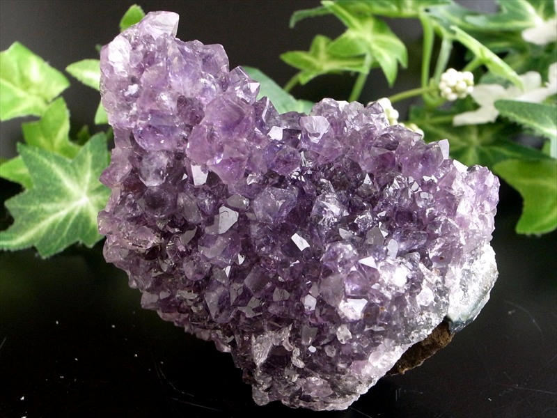 これぞ 花咲き 4A フラワー アメジスト クラスター 最大幅約74mm 重さ171g 美結晶 愛の守護石 紫水晶 天然石 1点物 ブラジル 産 パワーストーン 天然石