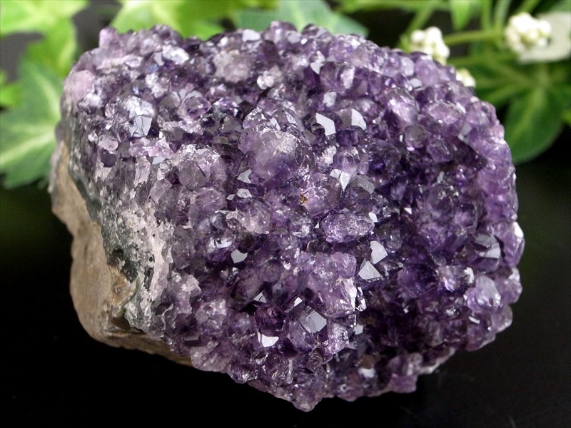 これぞ 花咲き 4A フラワー アメジスト クラスター 最大幅約71mm 重さ161g 美結晶 愛の守護石 紫水晶 天然石 1点物 ブラジル 産 パワーストーン 天然石