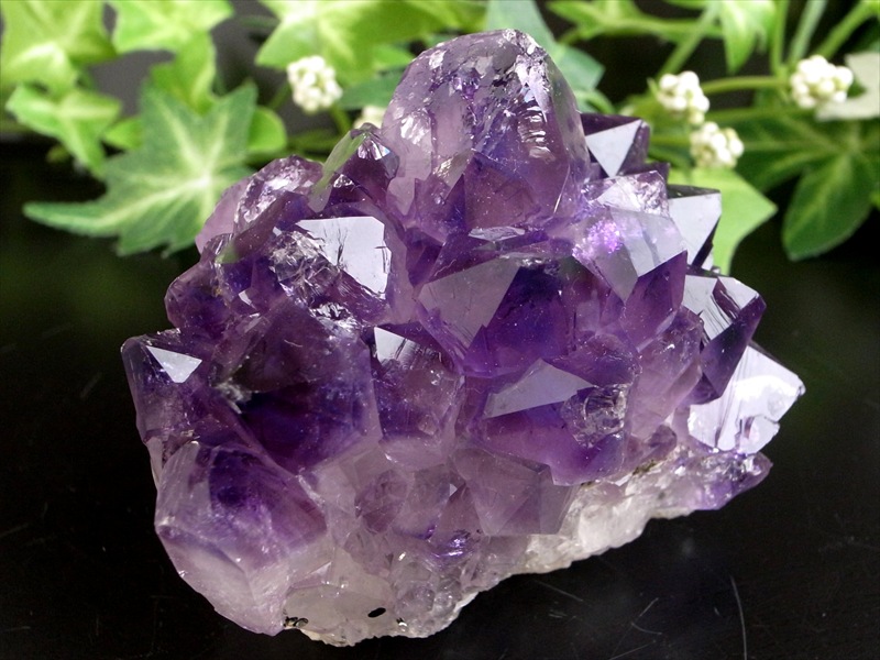これぞ 花咲き 5A フラワー アメジスト クラスター 最大幅約65mm 重さ159g 美結晶 愛の守護石 紫水晶 天然石 1点物 ブラジル 産 パワーストーン 天然石