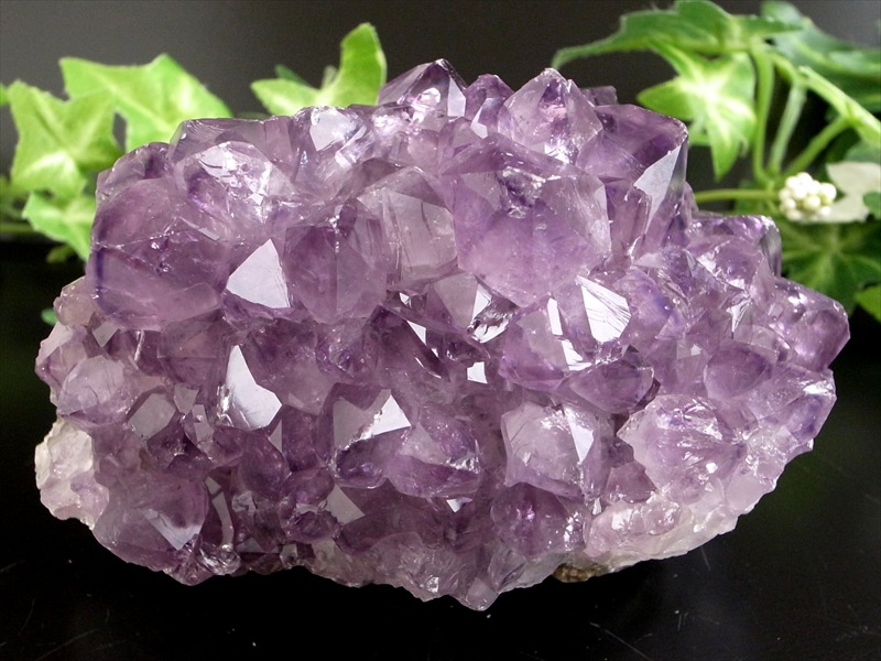 これぞ 花咲き 5A フラワー アメジスト クラスター 最大幅約96mm 重さ399g 美結晶 愛の守護石 紫水晶 天然石 1点物 ブラジル 産 パワーストーン 天然石 玄関