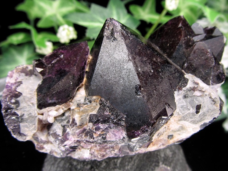 重厚感あふれる ブラック アメジスト クラスター 紫水晶 最大幅74mm 重さ142g 鋭く立ち上がる結晶群 美結晶 愛の守護石 浄化やインテリアに 紫水晶 天然石