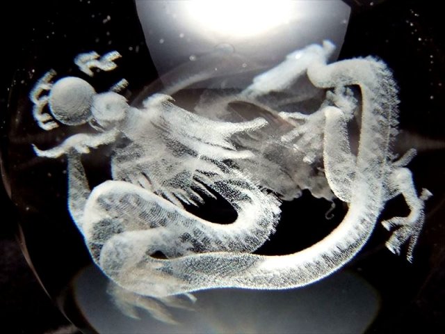 幻想的に浮かび上がった五本爪の龍(龍神) クリスタルガラス製 人工水晶 レーザー彫刻の神龍 丸玉置物直径約80mm専用台座付き ドラゴンボールモチーフ 龍玉付き ok-s inmy